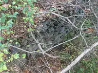 HPIM4687.webp