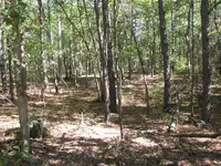 View uphill towards Hesstown Rd roughly.webp