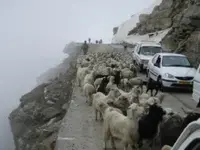 2374880-typical-high-mountain-road-in-idia-0.webp