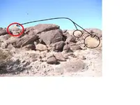 D Rock fuzzy head.webp D Rock fuzzy head.webp