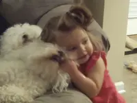 evelyn_dog.webp
