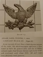 eagle.webp