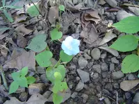 River Walk 008.webp