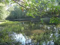 River Walk 003.webp