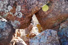 arrow window.webp