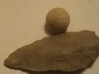 arrowhead.webp