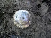 OCT 4TH HUNT WITH GARY BRIDLE ROSETTE 004 [].webp