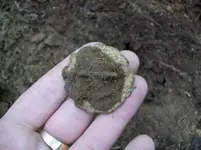 OCT 4TH HUNT WITH GARY BRIDLE ROSETTE 005 [].webp