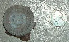 DSCF0176.webp