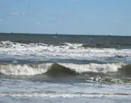 111.webp