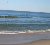 9141.webp