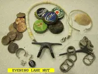 914NUT.webp