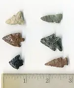 MendecinoPoints002A.webp