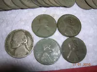 DSCN4458.webp