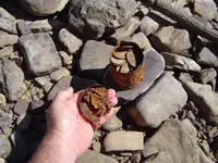 Found on the River 010.webp