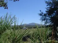 Arkansas  Road Trip 004.webp