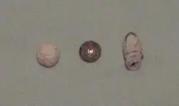 IMG_0001-1.webp