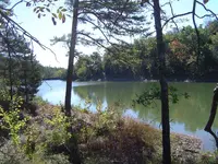 Arkansas  Road Trip 001.webp