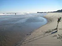 IMG_0176.webp