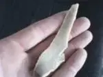 ljjgv.webp
