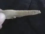 kb;kbkj.webp