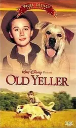 Old yeller.webp