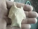 lklkjhjkhg.webp
