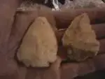 nlnklkn.webp