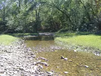 Found on the River 009.webp