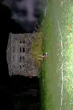stone house 002 copy.webp