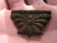 Butterfly clip2.webp