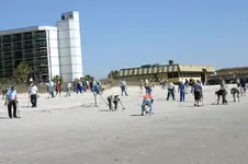 Expo Seeded Beach Hunt.webp