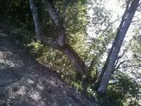 Marker2.webp