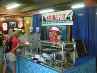Shark Pit Treasures Booth.webp