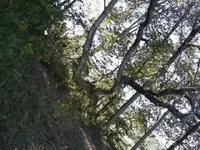 Marker7.webp