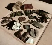 P1120870comp.webp