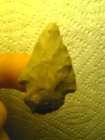 15.webp