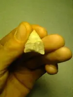 16.webp