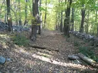SEPT 25TH CELLAR HOLES CAPPED BUST AND LARGE COPPER 016 [].webp