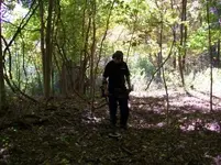 SEPT 25TH CELLAR HOLES CAPPED BUST AND LARGE COPPER 005 [].webp
