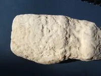 DSCF1172.webp
