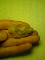 19.webp