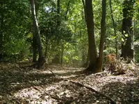 9-25-10 007.webp