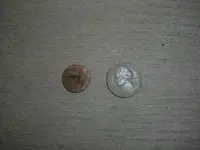 CIMG0354.webp