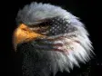 avatar_27747.webp
