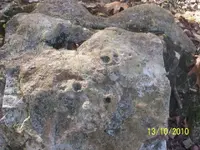 100_3595.jpgre.webp