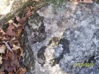 100_3606.jpgre.webp