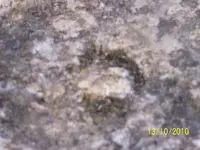 100_3607.jpgre.webp
