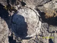 100_3629.jpgre.webp