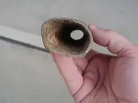 P1010096.webp